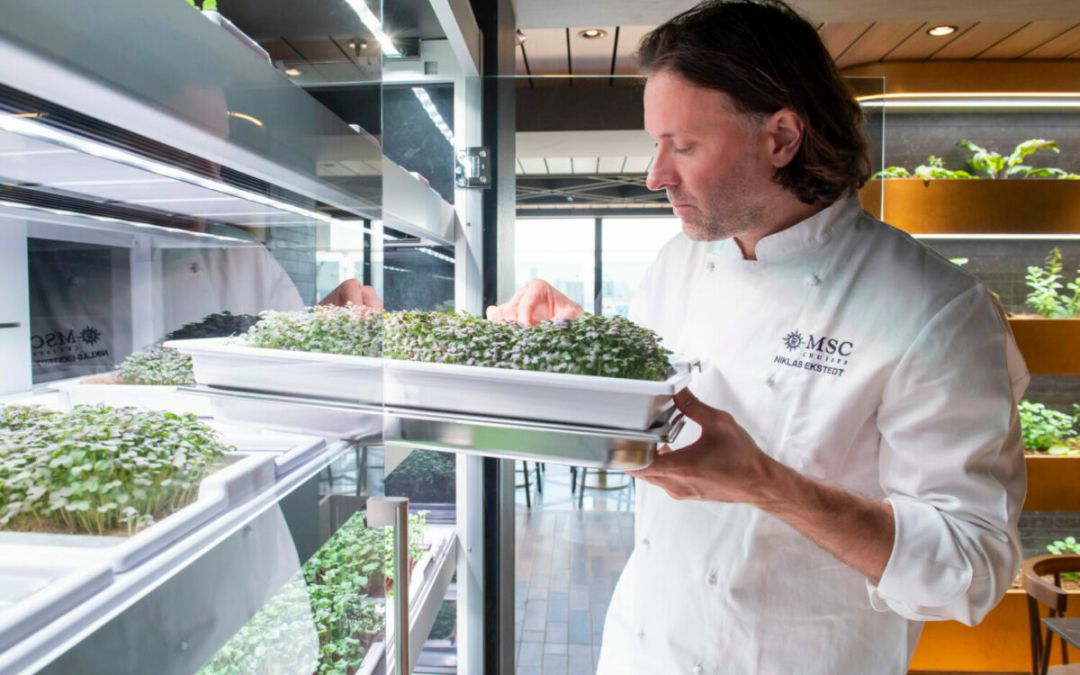 Elevating the Culinary Experience: How On-Site Farming Is Transforming Dining Across Hospitality & Beyond