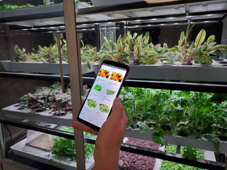 The Future of Environmental Sustainability in Agriculture